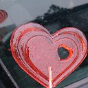 ���� ���������, ����������, 34 ���� - ��������� 8 ������� 2014 � ������ ������ ��������