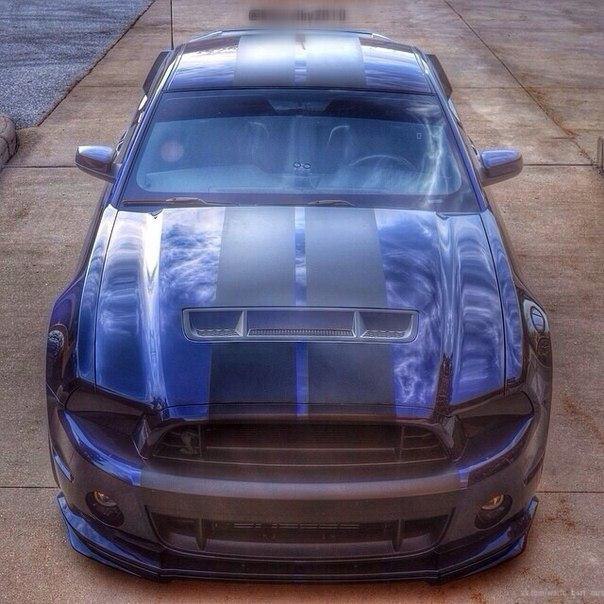 Shelby GT500. - 2