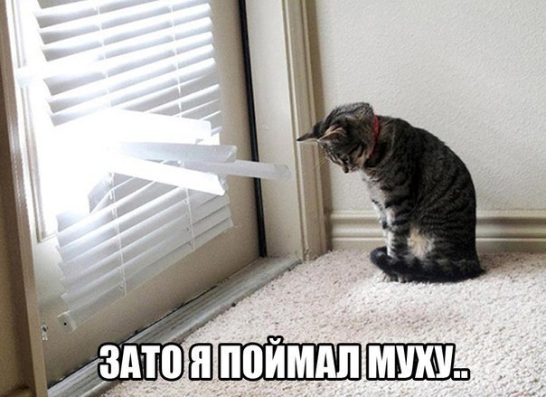    :D - 21  2014  17:53