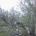 ���� �������, ��������, 57 ��� - ��������� 23 ������� 2014 � ������ ���� ����������