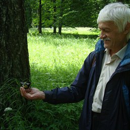 ��������, �����������, 76 ���