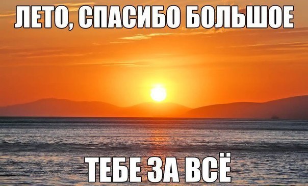   - 3  2014  11:31