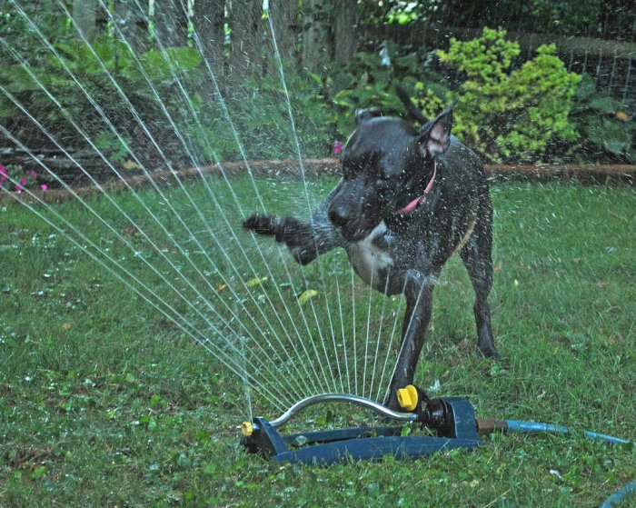  :   .           ... - 13