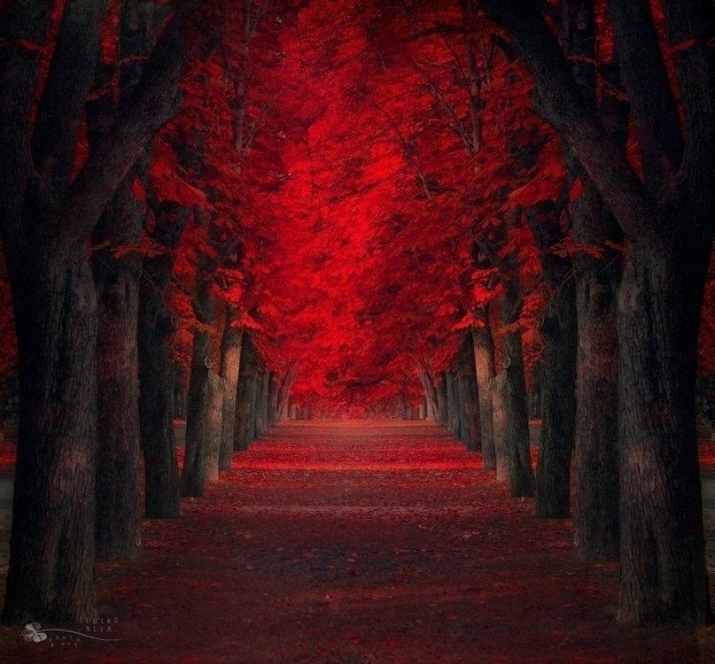  .#@https://fotostrana.ru/away?to=/sl/XE2 - 4