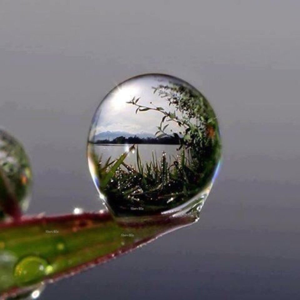    .#nature@travel.blog