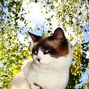 ���� ������� �������. �� ������� ���� ����������