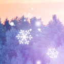 ���� Marya, �������������-���������� - ��������� 1 ������� 2014 � ������ ���� ����.�