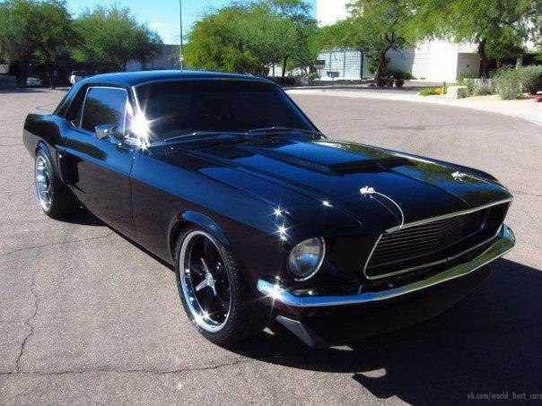 Mustang :)