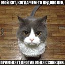 ���� ������, ���, 62 ���� - ��������� 8 �������� 2014 � ������ ������ ��������