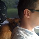 ���� ��������� ��������, �����-��������� - ��������� 18 �������� 2014