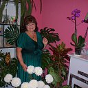 ���� Ana, ����������� - ��������� 12 ������� 2014 � ������ ���� ����������