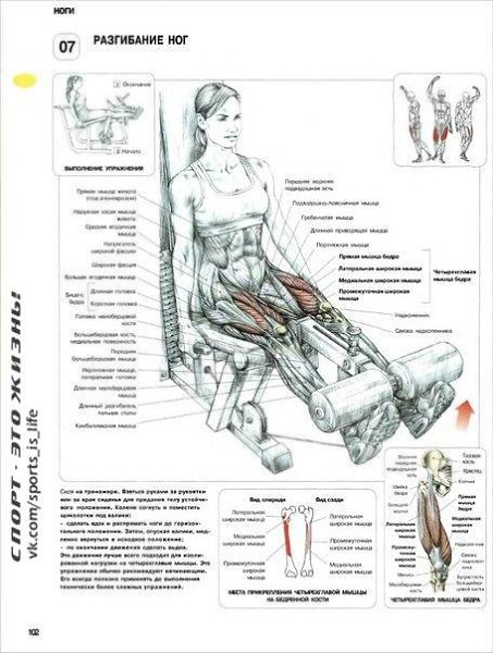 Самые эффективные упражнения для женских ног и ягодиц. #SPORT_тренировки@sports_is_life - 8