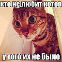  , , 58  -  30  2014    ...))