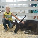 ���� Pavel, ������� ��������, 68 ��� - ��������� 19 ������� 2014 � ������ ���� ����������