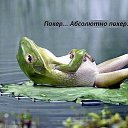 ���� �����, ���������, 45 ��� - ��������� 22 ������ 2014 � ������ ������ ��������