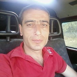 ������, �������, 55 ���