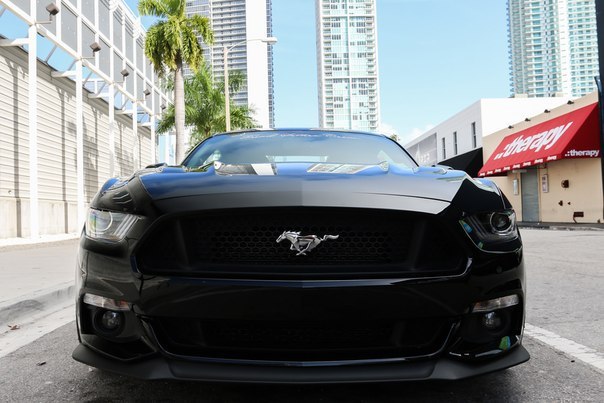 Ford Mustang GT 5.0 on Vossen Wheels, 2014.    V8 Atmo (4951 )   420 ... - 3
