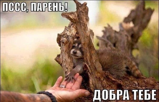    :-) - 3  2014  17:03