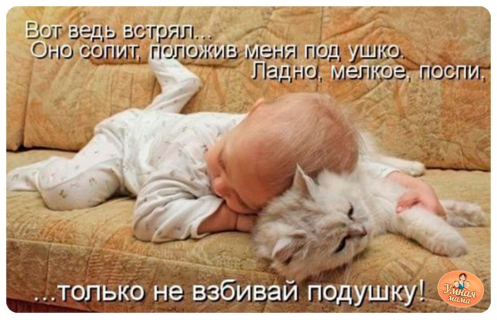 ))) - 10  2014  09:27