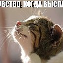 ���� ���� �����, ����, 23 ���� - ��������� 26 �������� 2014 � ������ ������ ��������