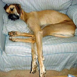 ������, ���������, 46 ���