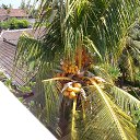 ���� ���������, ��� - ��������� 13 ������ 2014 � ������ �Indonesia�