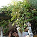 ����� ������ ������... �� ������� ���� ����������