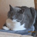 ���� Natali, ������-��-���� - ��������� 28 ������� 2014 � ������ ���� ����������