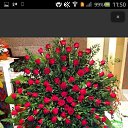���� ��, �������� - ��������� 20 ������ 2014 � ������ ���� ����������