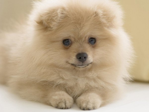 •°Art.Design°• - 24  2014  12:28