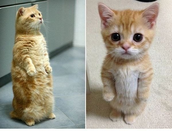   =3