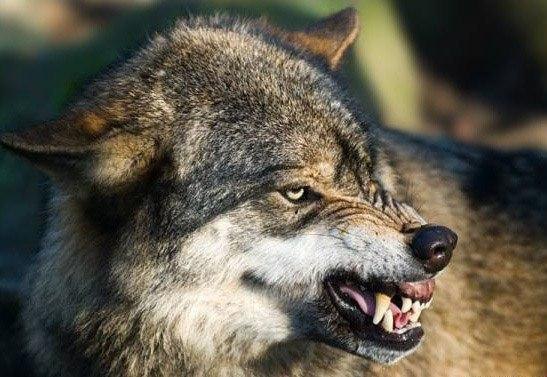 � ������� �� ���� ������� � ���� ����� ��� �����, ������� ���� �� �� �� ������������ �������.