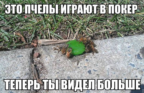   | , ,  - 6  2014  09:01
