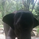 ���� ��������, ������������, 55 ��� - ��������� 24 ������� 2014 � ������ ������ ��������