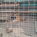 ���� ������, ������, 54 ���� - ��������� 8 �������� 2014 � ������ ��������