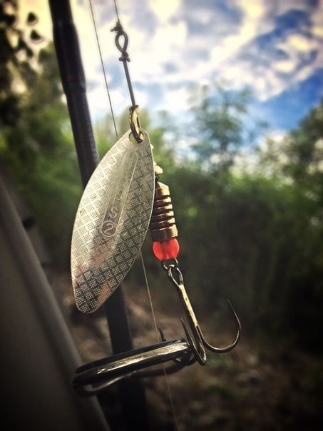 ����� ������� - 19 ������ 2014 � 22:28