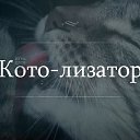 ���� Ginger, ������� - ��������� 25 ������� 2014 � ������ ������ ��������