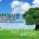 ���� ����������, ������, 49 ��� - ��������� 21 �������� 2014 � ������ ������ ��������