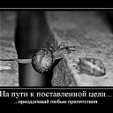 Oks...,  -  29  2014    