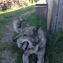 ���� �������, ������������ - ��������� 3 �������� 2014