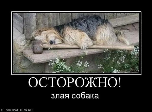 Добрый день! Мы ведем репортаж с нашей специальной олимпиады. На нашей олимпиаде отутствует любой ...