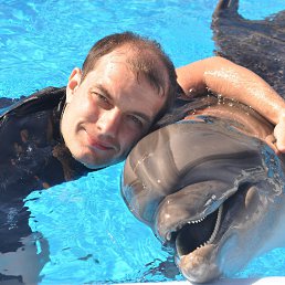 ���� �����, ��������� - ��������� 16 ������� 2014