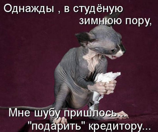 Подпишитесь, если понравилось!!! fotostrana.ru/public/237440/? А можно и отдать свой голос: ...