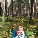 ���� ��������, ��������� - ��������� 23 �������� 2014 � ������ ���� ����������