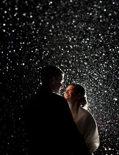  :     ,  , ?        ... - 2