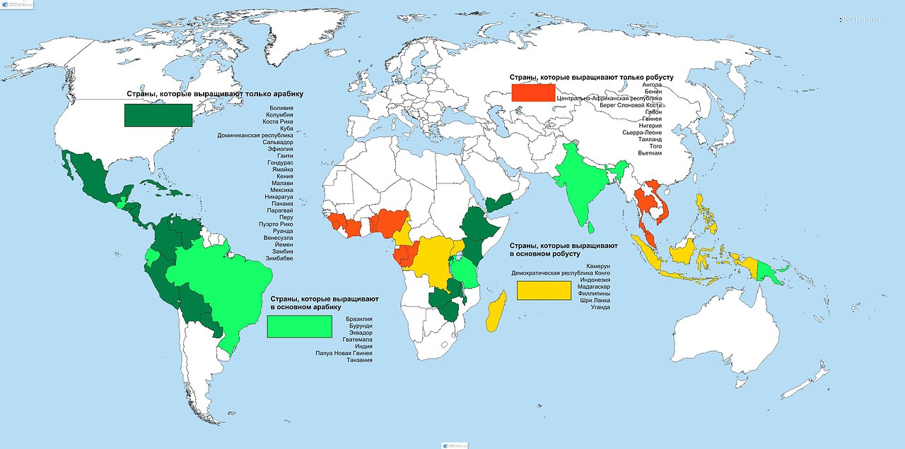 Карта распространения кофе по миру