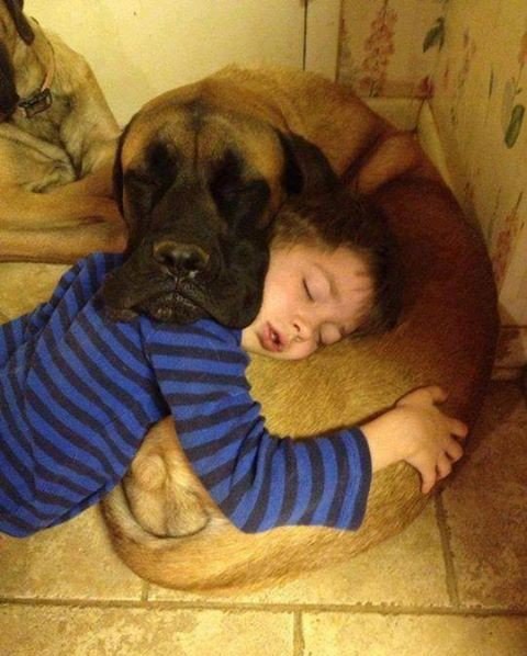  .#animal@travel.blog