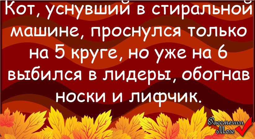  - 12  2014  18:59
