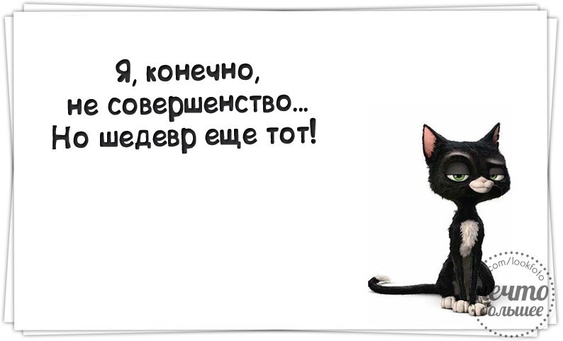 Само совершенство. Я само совершенство картинки. Я конечно не совершенство но шедевр еще тот. Прикольные фразы про совершенство. Статусы про совершенство.