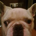 ���� ������, ������, 44 ���� - ��������� 12 �������� 2014 � ������ ���� ����������